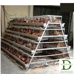 160 Capacity Poultry Cage, Feedmill, Chicken Feeder