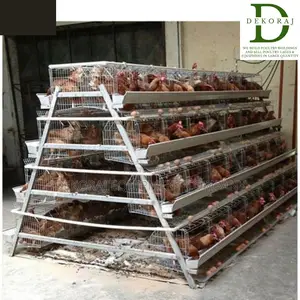 96 Capacity Poultry Cage, Bell Drinkers, Debeaker