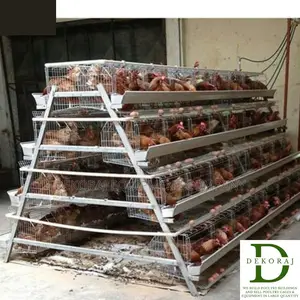 160 Capacity Poultry Cage, Chick Feeder, Point Of Lay