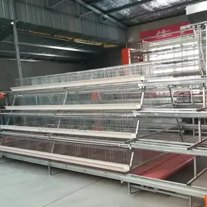 Automated 96 Layer Battery Cage,Chicken Feeders And Drinkers