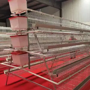 160 Birds Imported Layer Cage ,30 Years Guarantee