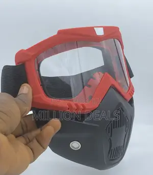 Ski Classic Face Google Mask