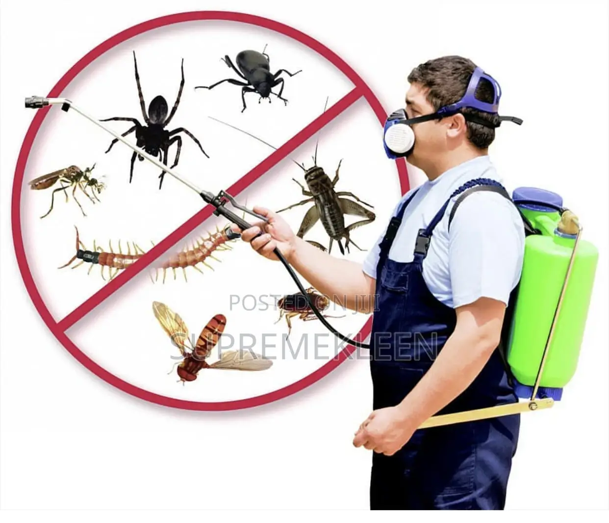Pest Control Professionals