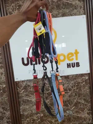 Leash and Collar