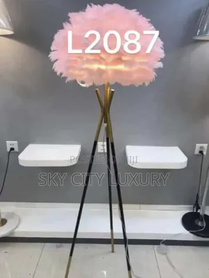 Dome Feather Floor Lamp Light