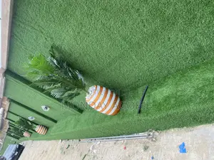 Artificial Grass for Your House