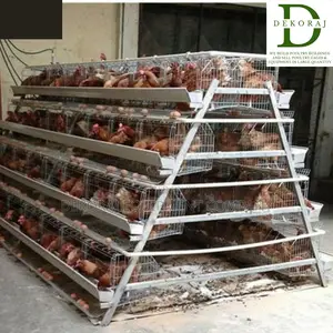 128 Capacity Poultry Cage, Bell Drinker, Feedmill