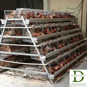 96 Capacity Poultry Cage, Chicken Cutter, Layers