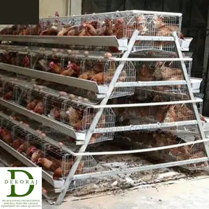 128 Capacity Poultry Cage, Layers, Drinkers