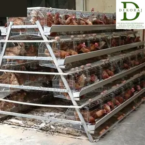 96 Capacity Poultry Cage, Broiler, Chicken Feeder