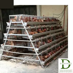 128 Capacity Poultry Cage, Debeaker, Feedmill