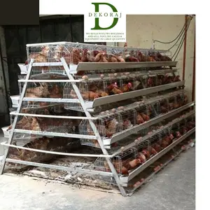 160 Capacity Poultry Cage, Layers, Chick Feeder
