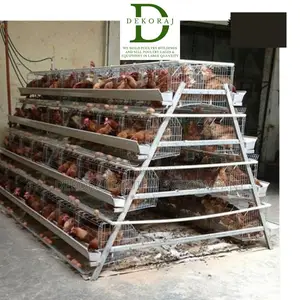 128 Capacity Poultry Cage, Chicken Cutter, Drinkers