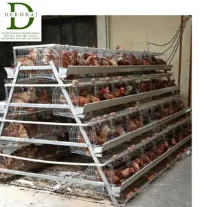 96 Capacity Poultry Cage, Chick Feeder, Layers