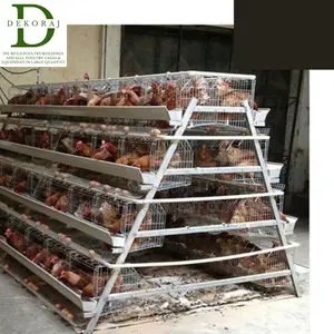 160 Capacity Poultry Cage, Broiler, Drinkers