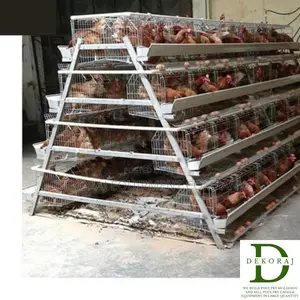 160 Capacity Poultry Cage, Layers, Nipple Drinkers
