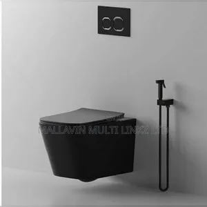 Conceal Wc + Bidet Spray