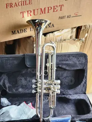 Yamaha Professional Trumpet With Accessories Gold Sliver