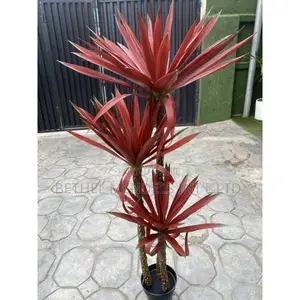 Fake Artificial Agave Tree | 140cm