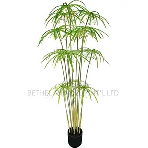 Buy Fake Graptopetalum Tree | 140cm