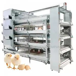 Automatic Chicken Cage For 10,000- 100,000 Birds Capacity