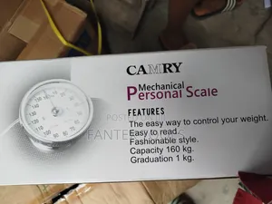 Mechanical Professional Scale
