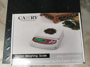 Digital Weighing Scale