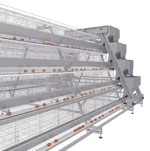 160 Automatic Poultry Cages For Birds