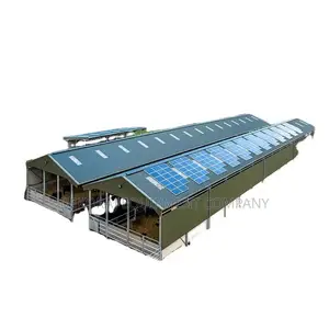 Standard 10,000-bird Pen House With Imported Cage