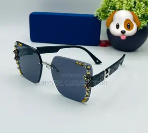 Hermes Quality Luxury Ladies Sunglasses