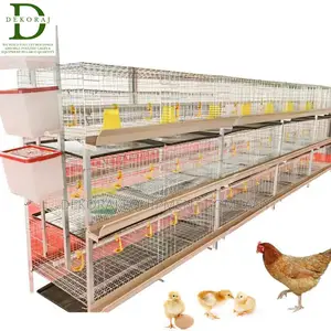 Maximize Space With Imported H Type 120 Poultry Cages