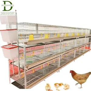 Imported H Type 120 Cages: The Best For Layers Broilers