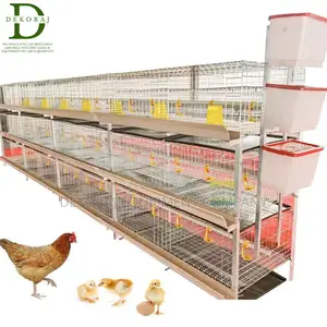Imported H Type 120 Poultry Cages: Maximize Layer Broiler
