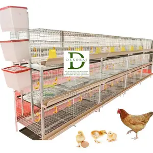 Enhance Poultry Production With Imported H Type 120 Cages B