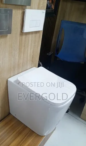 Conceal Water Closet Seat on Floor Executive Set