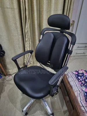 Office Ergonomic Kidney Chair (Reduce Back Pains)