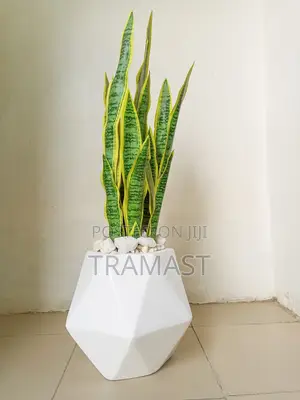 Potted Artificial Snake Plant With Fiber Glass Vase