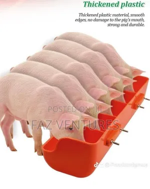 Feeder (Pig/Goat/Sheep