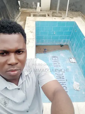Swimming Pool Lord