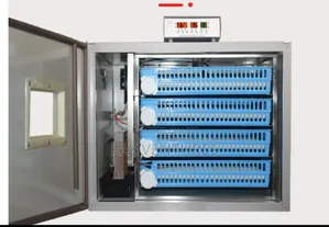 High Quality Eggs Incubator 256/320/512 Sizes- Dual Power