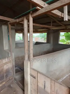 Piggery Farm for Sale at Ikorodu 30 Million
