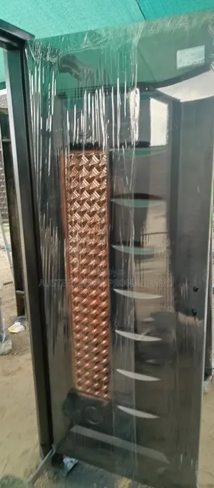 Perfect Security Professional Doors