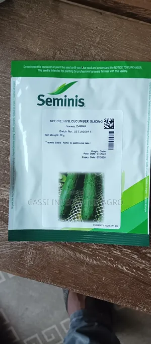 10g Darina Cucumber Seed