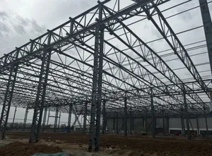 Warehouse Steel Structure/Warehouse Roofing Service