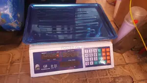 Industrial Digital Scale 30 and 40 Kg