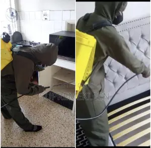Professional Expert In Control Of Pest In Your Home