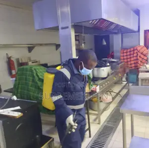 Pest Control And Fumigation Services At Lagos