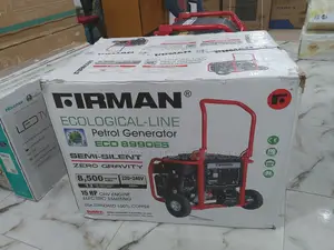 Sttand by Frieman Generator Eco08990es