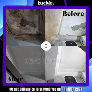 Mould Algae Mildew Treatment