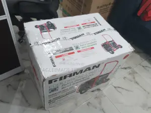 Affordable Fireman Generator Eco08990es